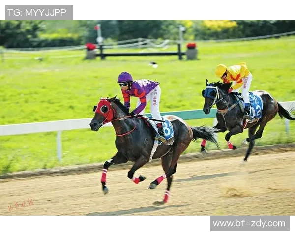 重庆足球队的崛起之路:亚运会背后的奋斗与荣耀