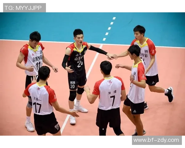 成都排球队实力强劲荣登全国排球实力排行榜第三名